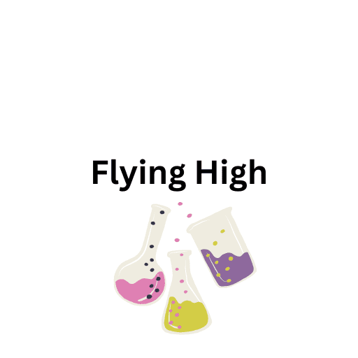 Flying High